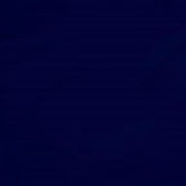 Navy Blue Solid