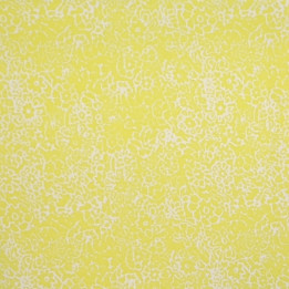 Lemon Drop Shot