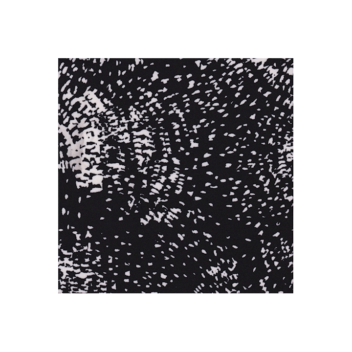 Black and White Speckle