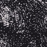 Black and White Speckle